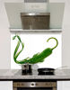 Picture of Green Chilli