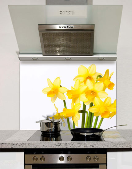 Picture of Daffodils Two Splashback