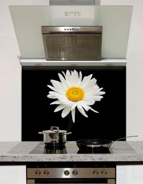 Daisy on black Glass Splashback