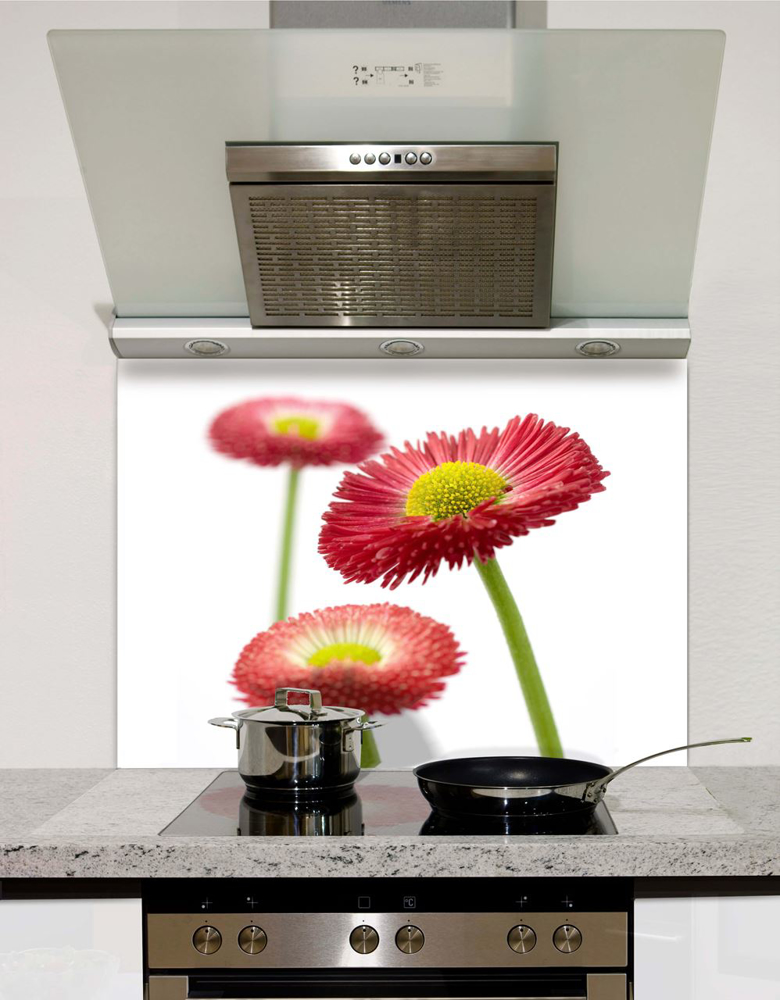 Picture of Gerbera Splashback