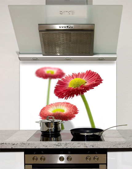 Picture of Gerbera Splashback