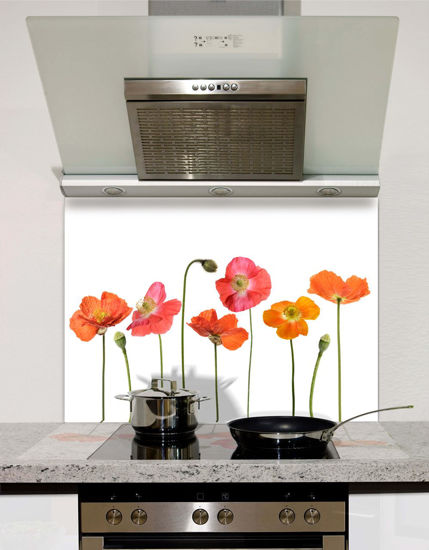 Picture of Line Of Poppies Splashback