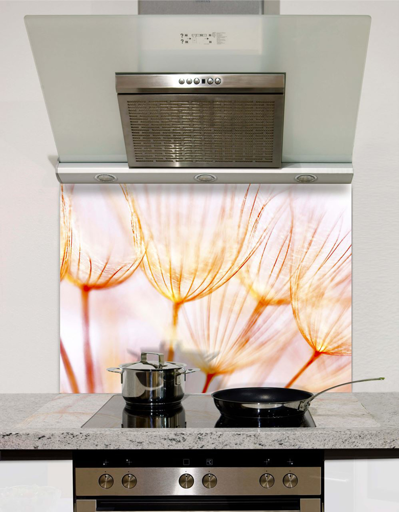 Picture of Red Dandelion Wish Splashback