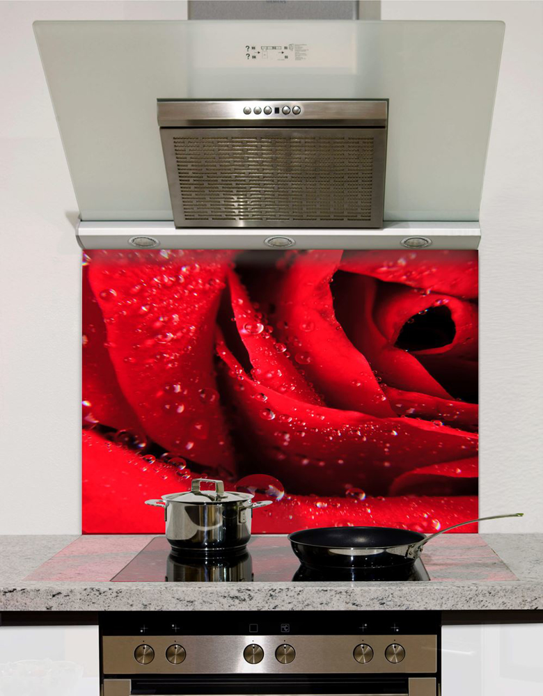 Picture of Rose Macro Shot Splashback