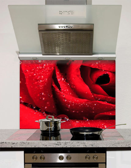 Picture of Rose Macro Shot Splashback