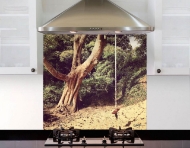 Picture of Crawley Woods
