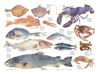 Picture of Barbara Allen Variety Splashback