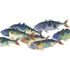 Picture of Barbara Allen Shoal Splashback