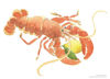 Picture of Barbara Allen Red Lobster Splashback