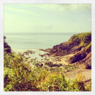 Picture of Brandy Cove