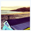 Picture of Langland Bay Beach