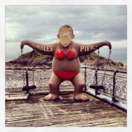 Picture of 'Monkeying around Mumbles'