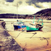 Picture of New Quay