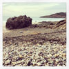 Picture of 'The Donkey Rock' Rotherslade Bay