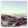 Picture of Worms Head