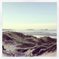 Picture of Worms Head