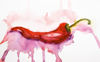 Picture of Watercolour Red Hot Chilli Splashback