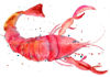 Picture of Red Lobster Splashback