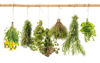 Picture of Herbs Hanging Splashback