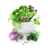 Picture of Herbs Splashback