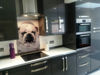 Picture of PERSONALISED GLASS SPLASHBACK