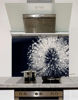Picture of Abstract dandelion Splashback (standard size)