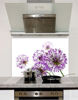 Picture of Quick Delivery Glass Splashbacks