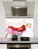 Picture of Food and Drink Kitchen Splashbacks
