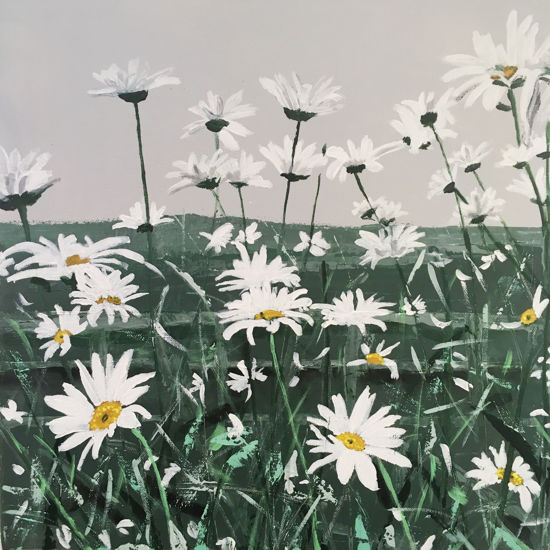 Daisies