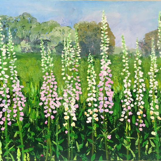 Into the Meadow