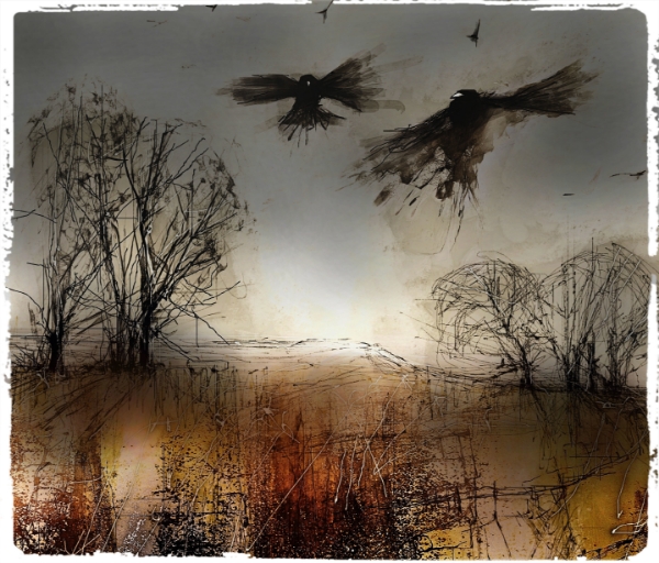Picture of Murder of Crows ! Glass Kitchen Splashback