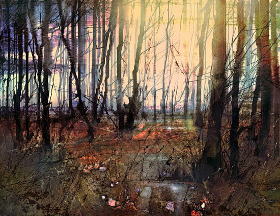 Picture of Autumn in The New Forest Glass Kitchen Splashback