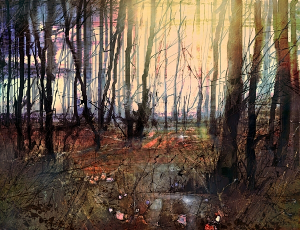 Picture of Autumn in The New Forest Glass Kitchen Splashback