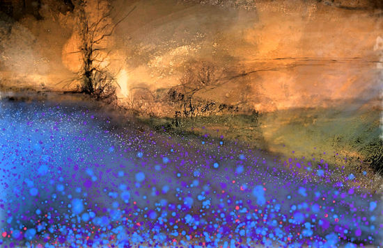 Picture of Bluebell Hill Glass Kitchen Splashback