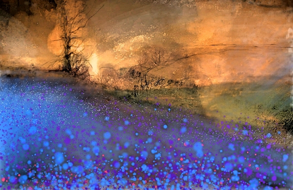 Picture of Bluebell Hill Glass Kitchen Splashback