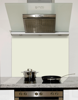 Apple White Glass Kitchen Splashback