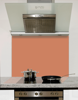 Treasured Coral Glass Splashback