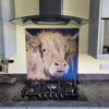 Picture of Fergus - by Emily Johnston Glass Kitchen Splashback