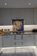 Picture of Fergus - by Emily Johnston Glass Kitchen Splashback