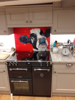 Picture of Marley - By Emily Johnston Glass Kitchen Splashback