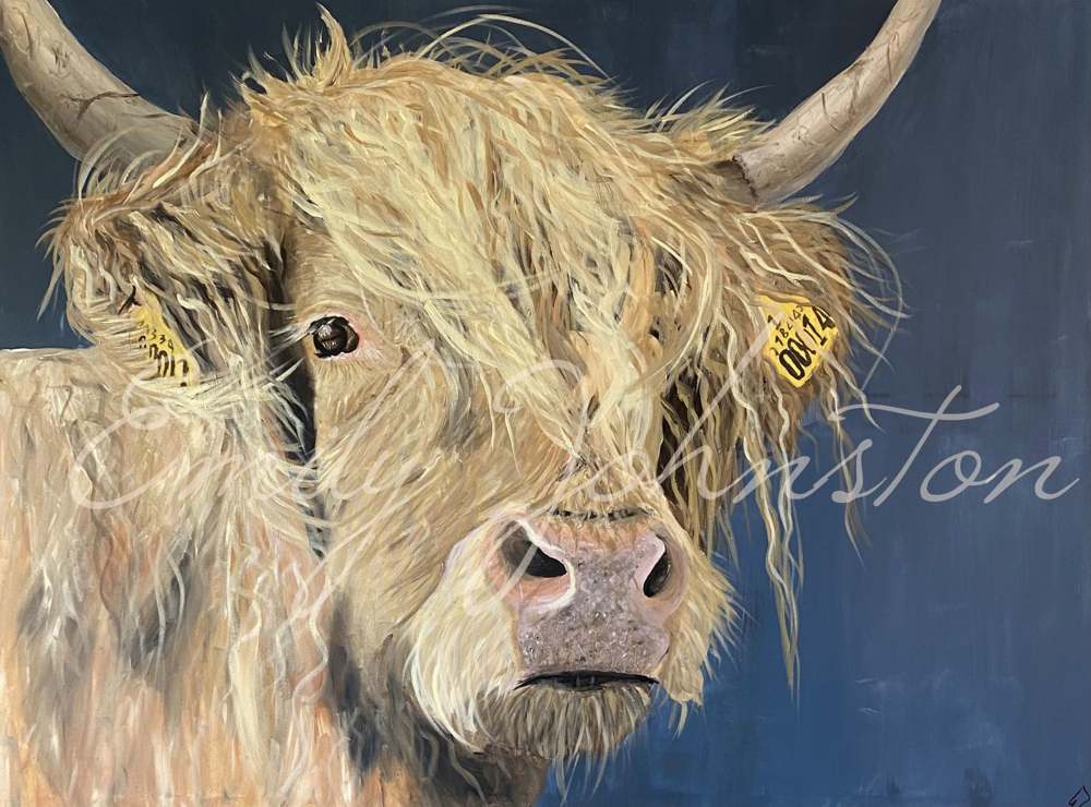 Picture of Fergus - by Emily Johnston Glass Kitchen Splashback