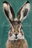 Picture of Felix - By Emily Johnston Glass Kitchen Splashback