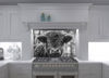 Black and White Highland Cow Glass Splashback