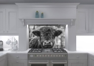 Black and White Highland Cow Glass Splashback