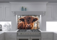 Digital Highland Cow Glass Splashback