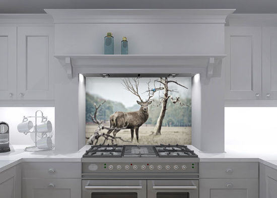 Full Colour Majestic Stag Glass Splashback