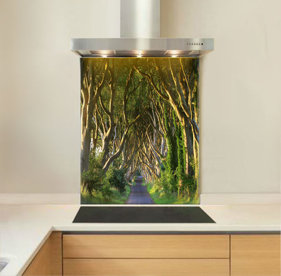 Dark Hedges Splashback