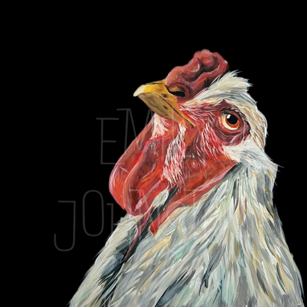 Picture of Vincent - By Emily Johnston Glass Kitchen Splashback