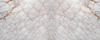 Copper Vein Carrara Marble