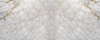Gold Vein Carrara Marble